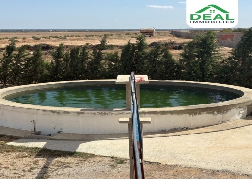 Seniya de 4 hectare et 5000 m² à vendre