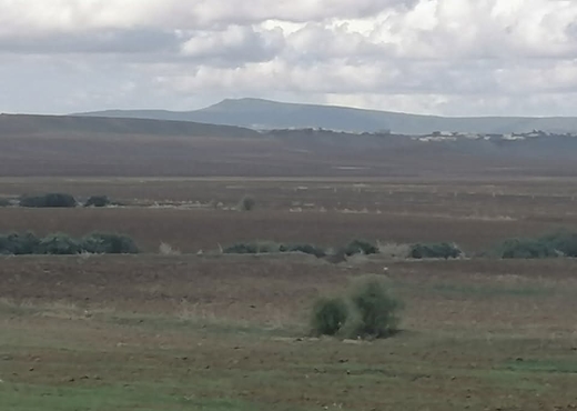 A Vendre Terrain Agricole