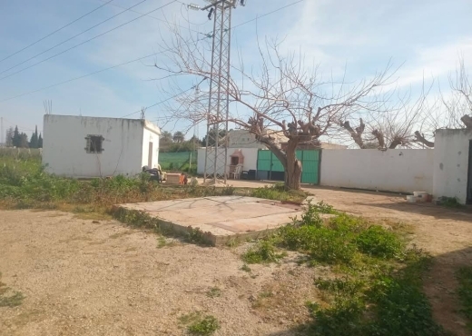 للبيع فيرمة لوز و زيتون و غلال أخرى