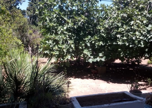 A Vendre Villa à El Menzah 4
