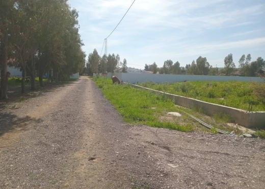 A vendre des lots de terrain à utique