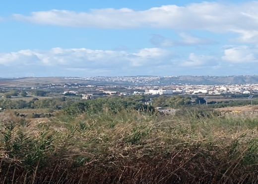 Terrain agricole, Route Ras Jebel ↔ Rafraf