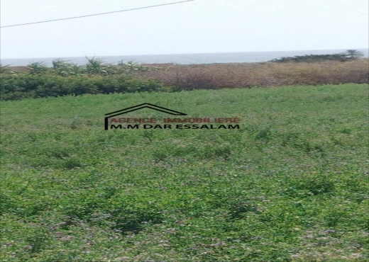 maison À Vendre à NABEUL - des lots de terrain près de la mer - Immobiliere.tn - Photo 3