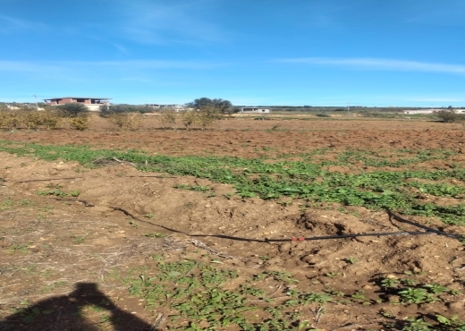 Terrain agricole constructible à Ghar El Melh