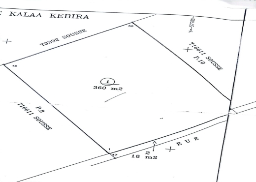 A Vendre Terrain à Kaala Kbhira