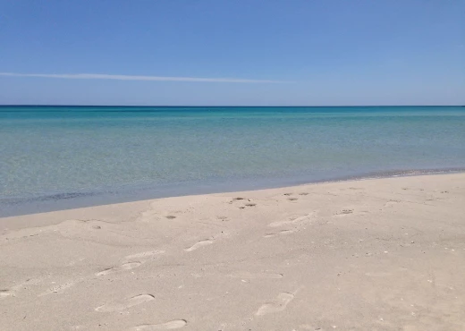 terrain à À Vendre à NABEUL - terrain avec vus sur la mer