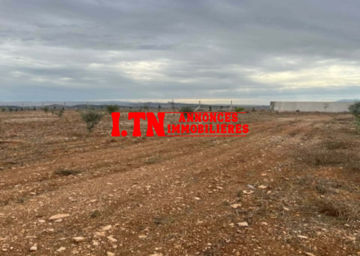 Terrain agricole à vendre