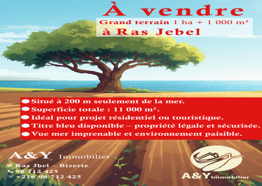 Terrain agricole, Route Ras Jebel ↔ Rafraf