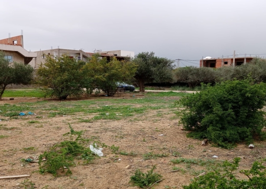 terrain à sidi salah