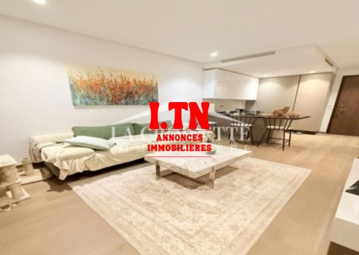 Appartement meublé s+1