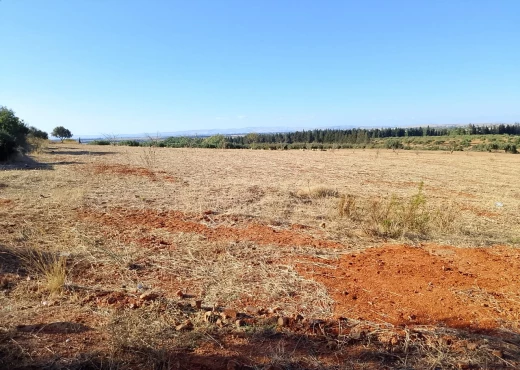 terrain à À Vendre à ARIANA - Terrain de 1 hectare à sidi thabet