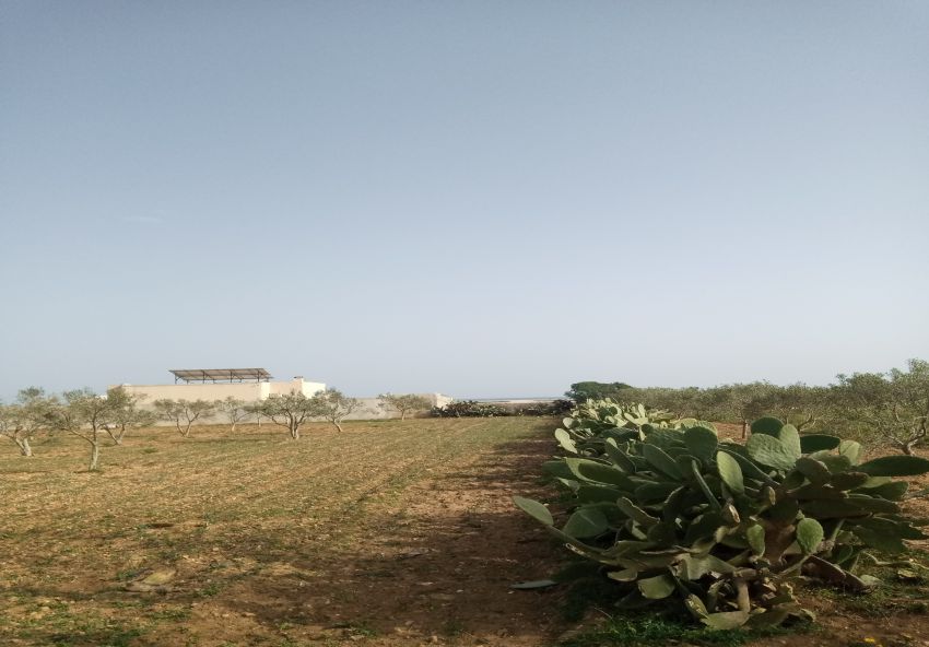 Terrain constructible