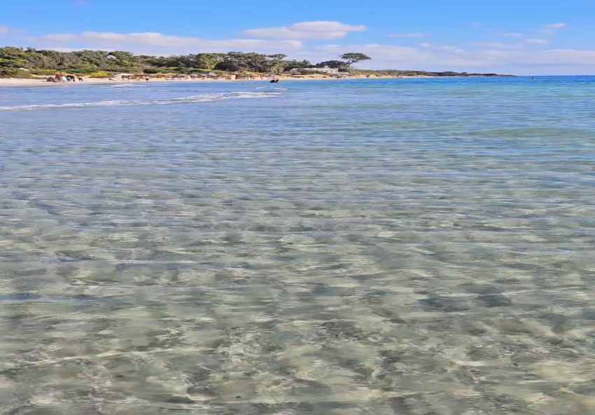 Un coin de paradis sur terre