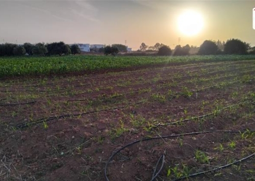 Vente d'un Terrain agricole de 22H