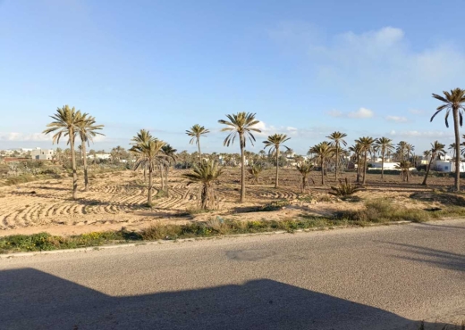 A Vendre Terrain 12511 m² a Midoun