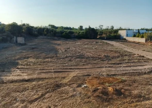 terrain à À Vendre à NABEUL - Offres exclusives  📢💎💦
