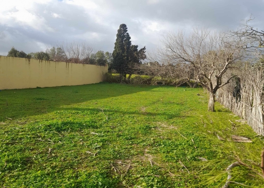 terrain à vendre