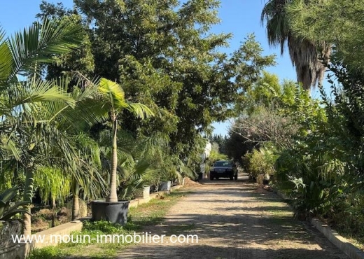 Ferme Beni Khaled 2 T1225 Nabeul