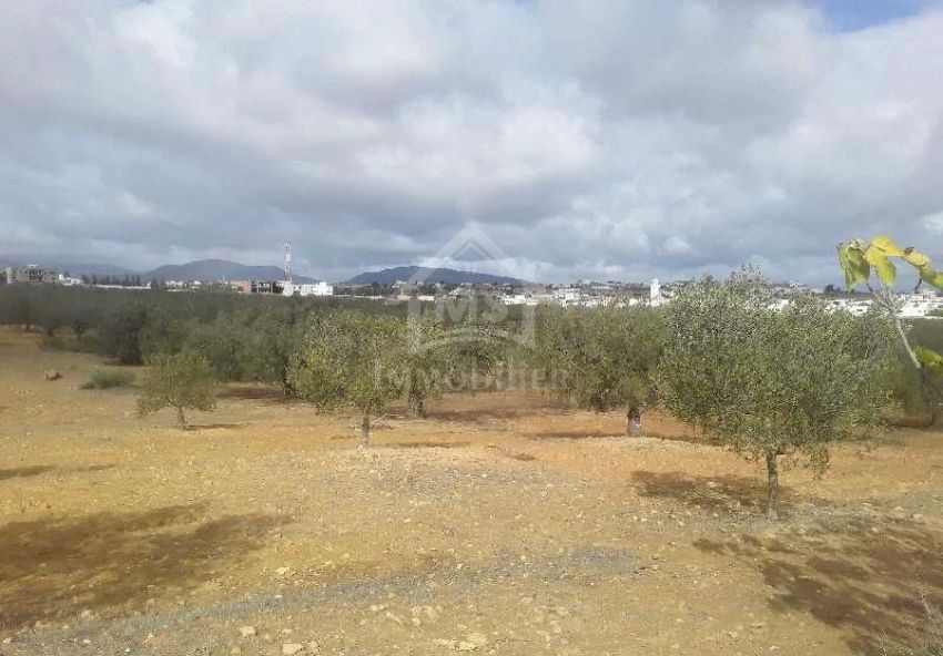 Terrain de 1000 m² à vendre à Hammamet Sud 51355351