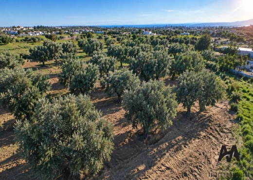 terrain à À Vendre à NABEUL - Terrain Agricole 4 002 m²– Nabeul