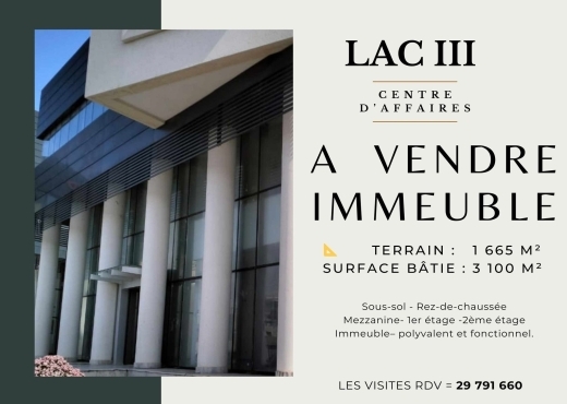 A Vendre Immeuble à usage multiple Lac2