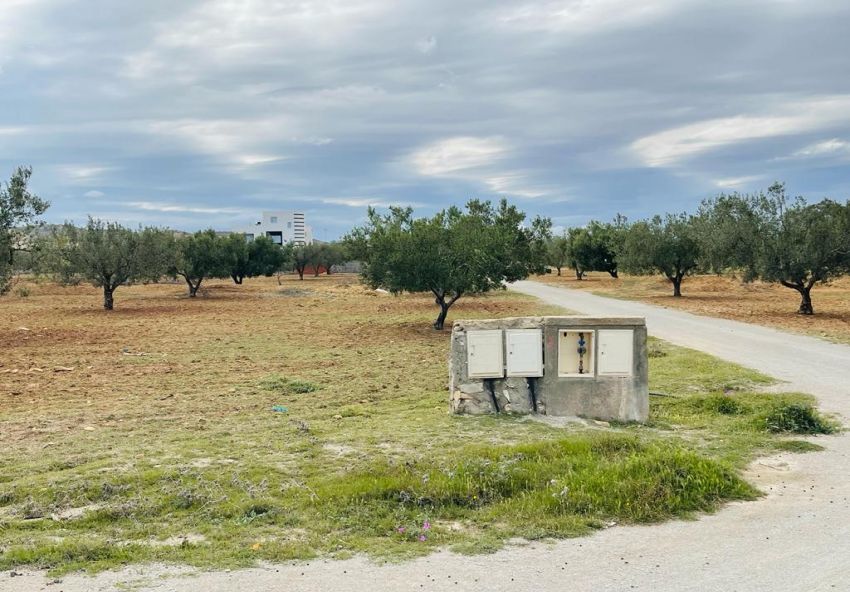 Terrain agricole de 6000 m² à Hammamet