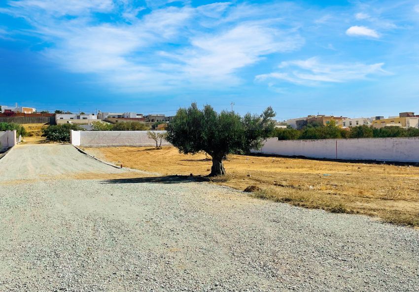 Lot de terrain de 350 m² à Hammamet