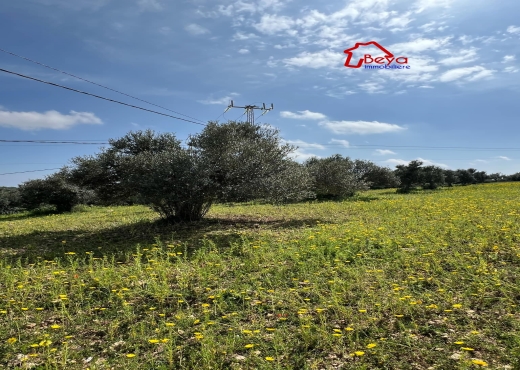 TERRAIN ISLEM VTM024
