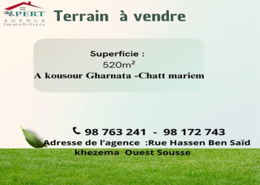 Terrain a vendre 520