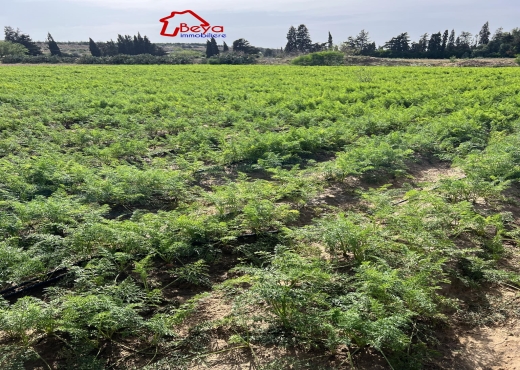 13000 m² à vendre