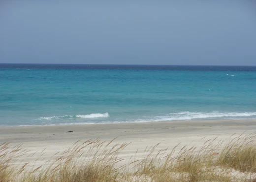terrain à À Vendre à NABEUL - Investissement a ne pas raté