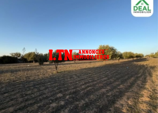للبيع : أرض فلاحية