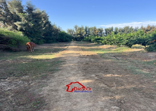 4 HECTARES A VENDRE