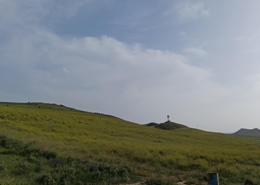 terrain