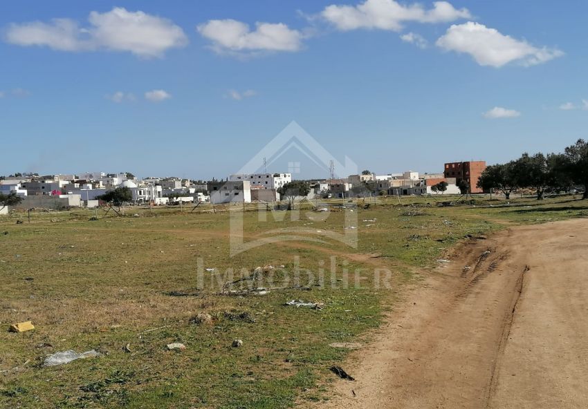 Lot de terrain à vendre à Hammamet à 55 MD 51355351