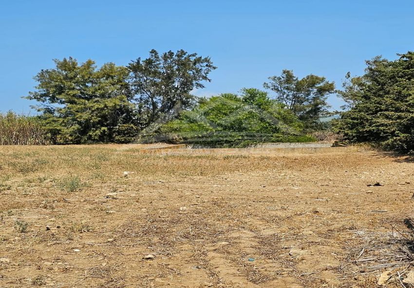 A vendre terrain agricole Lazib Bizerte