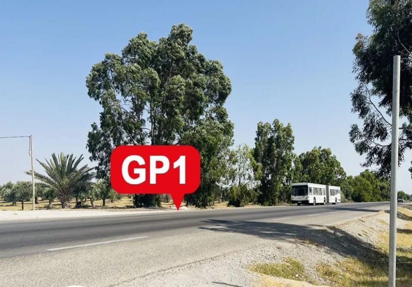 Terrain pour votre projet d'investissement 1000 m²