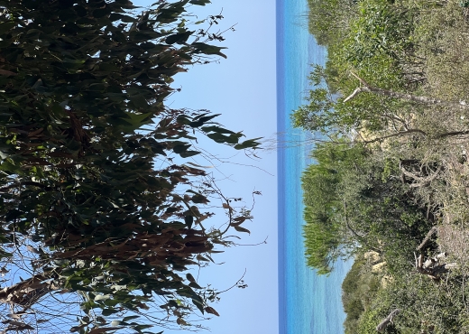 Terrain à vendre à Ezzahra