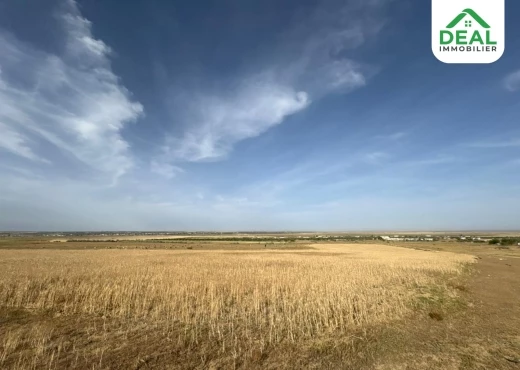 terrain à À Vendre à SOUSSE - هنشير فلاحي يقع جهة كروسيا