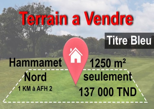 A Vendre Terrain à Hammamet Nord