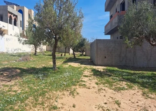 maison à À Vendre à NABEUL - a vendre un lot de terrain rectangulaire de 200m²