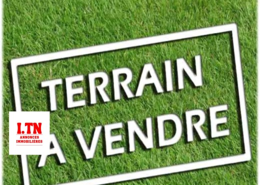 Terrain pou projet