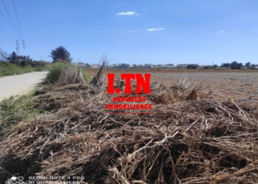 A VENDRE TERRAIN 3M001/25