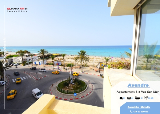 à vendre appartement s+1 vue mer