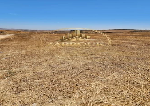 terrain à À Vendre à BIZERTE - un terrain agricole