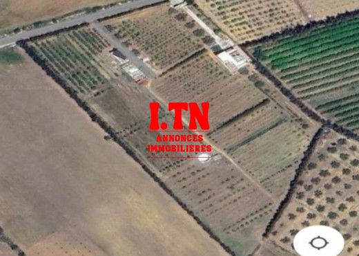 A VENDRE FERME AVEC VILLA 3M005/25