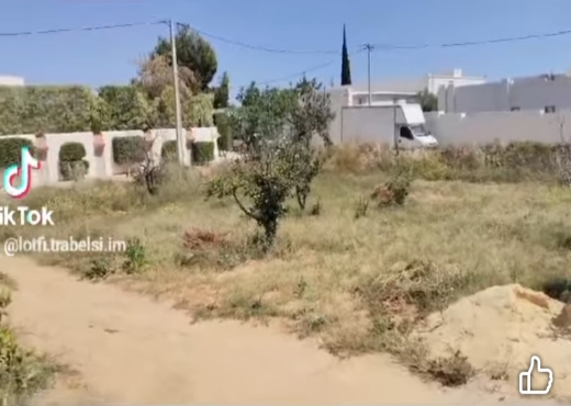 A Vendre Terrain Rte Teniour Sfax