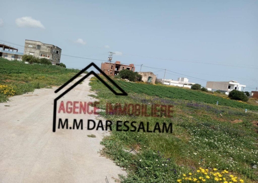 terrain près de la mer