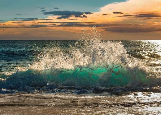 Terrains Pieds dans l'Eau