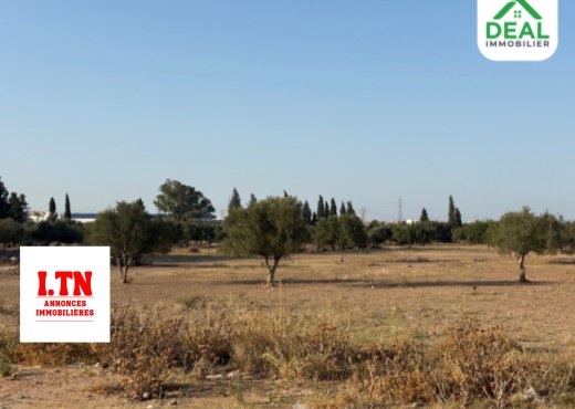 Deux lots de terrain résidentiel
